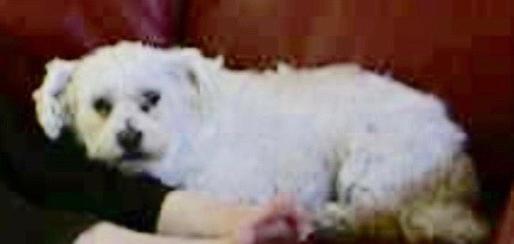 Screen Shot 2016-09-21 at 7.11.29 AM 3.jpg